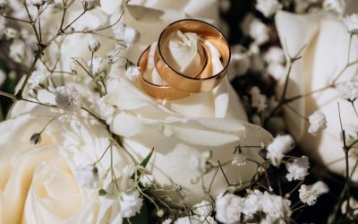 Golden wedding rings on the white rose from the wedding bouquet Golden wedding rings on the white rose from the wedding bouquet
