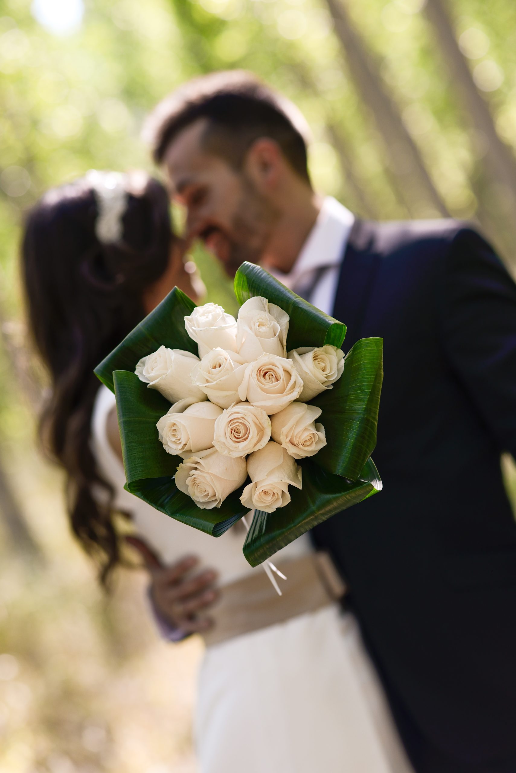 Just married couple in poplar background Just married couple in poplar background